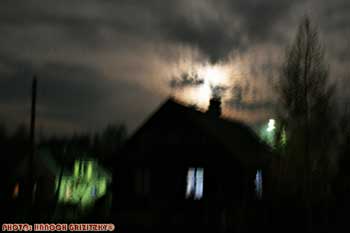IMG_ (10393)